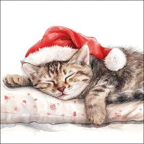 Napkin 33 Dreaming about X-Mas FSC Mix