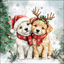 Napkin 33 Cody and Buddy FSC Mix