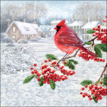 Napkin 33 Cardinal FSC Mix