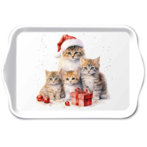 Tray melamine 13x21 cm Meaowy Christmas