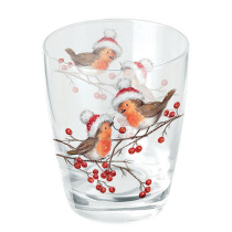 Water glass 0.25 L Christmas robins white