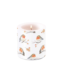 Candle small Robin family