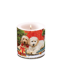 Candle small Dogs at the door