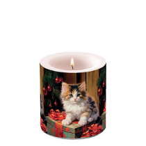 Candle small Molly