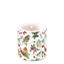 Candle small Birds in winter
