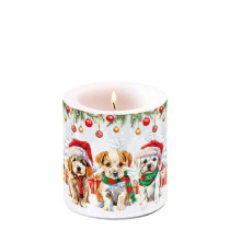 Candle small Funny cute puppies