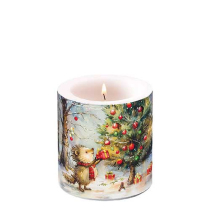 Candle small Present for hedgehog