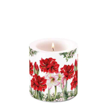 Candle small Blooming amaryllis white