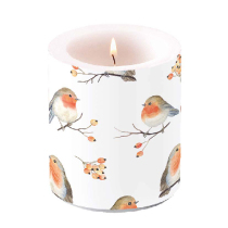 Candle medium Robin family