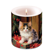 Candle medium Molly