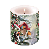 Candle medium House with robins