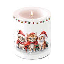 Candle medium Funny cute kittens