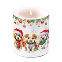 Candle medium Funny cute puppies