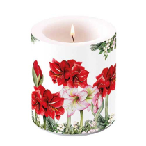 Candle medium Blooming amaryllis white