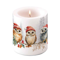 Candle medium Wise owls