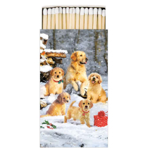 Matches Golden retriever puppies