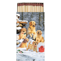 Matches Golden retriever puppies