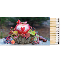 Matches Snow dusted apple