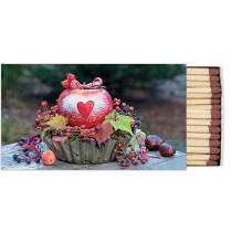 Matches Snow dusted apple