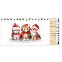 Matches Funny cute kittens