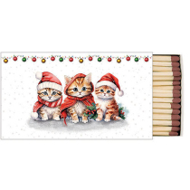 Matches Funny cute kittens