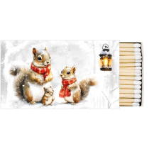 Matches Squirrel family