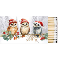 Matches Wise owls