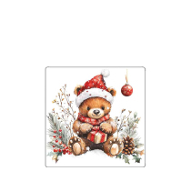Coaster Teddy's gift white