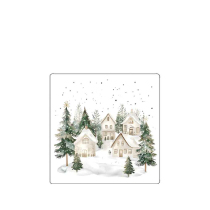 Coaster Snowy houses