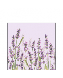 Napkin 25 Lavender shades lila FSC Mix