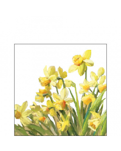Napkin 25 Golden daffodils FSC Mix