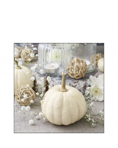 Napkin 25 Modern pumpkin FSC Mix