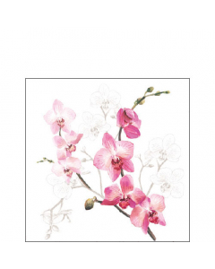 Napkin 25 Orchid FSC Mix