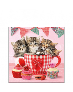 Napkin 25 Cats in tea cups FSC Mix