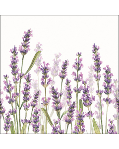 Napkin 33 Lavender shades white FSC Mix
