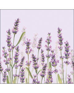 Napkin 33 Lavender shades lila FSC Mix