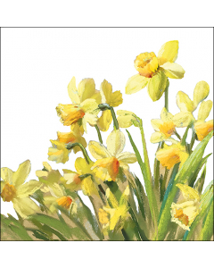 Napkin 33 Golden daffodils FSC Mix