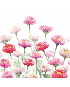 Napkin 33 Painted bellis FSC Mix