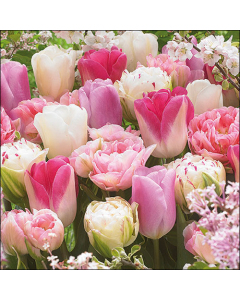 Napkin 33 Pink tulips FSC Mix