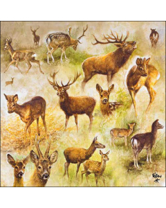 Napkin 33 Collage of deers FSC Mix