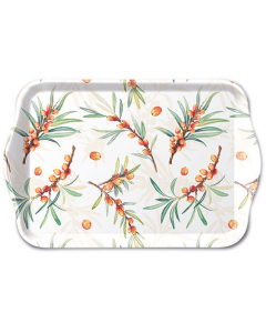 Tray melamine 13x21 cm Sea buckthorn