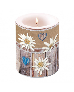 Candle big Edelweiss on wood