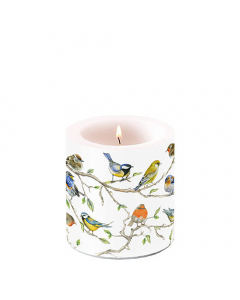Candle small Birds meeting