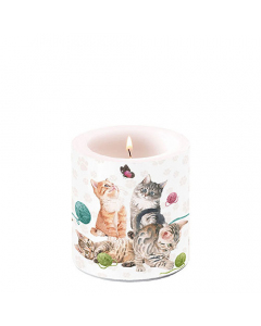 Candle small Playing kitten