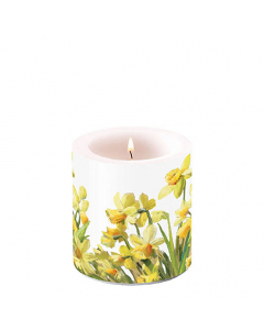 Candle small Golden daffodils