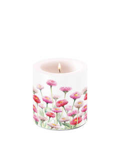 Candle small Painted bellis