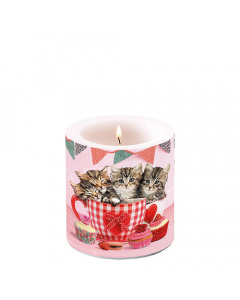 Candle small Cats in tea cups