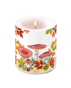 Candle medium Fly agaric group