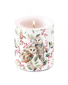 Candle medium Barn owl couple white