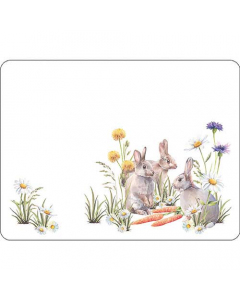 Placemat Carrot treat